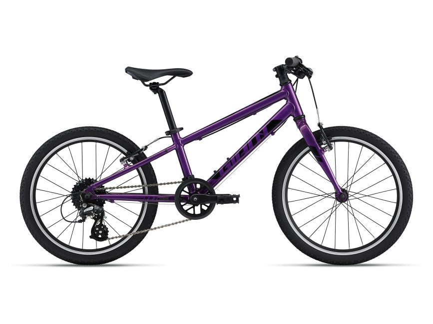 Children's bicycle Giant ARX 20" Purple