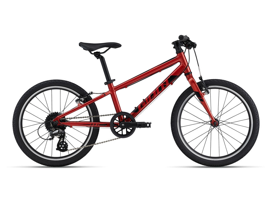 Children's bicycle Giant ARX 20" Grenadine