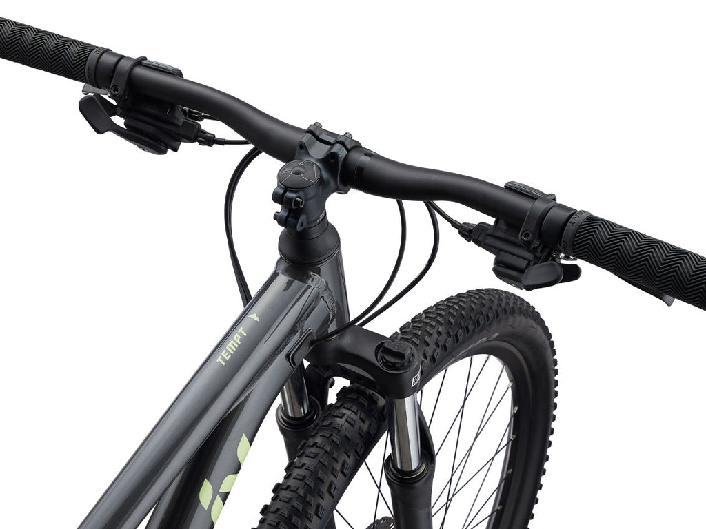 Mountain bike Liv Tempt 4 29" Black Chrome