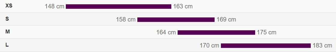 City bicycle Liv Alight 3 28" Milky Way