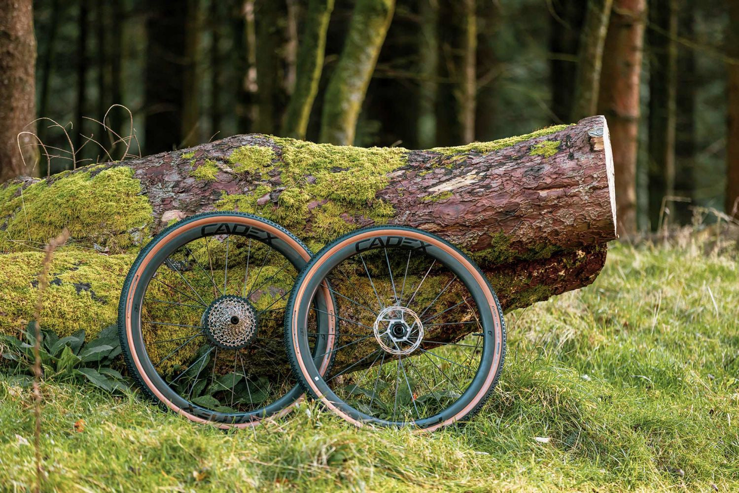 Front wheel Cadex AR 35 Tubeless Disc carbon black