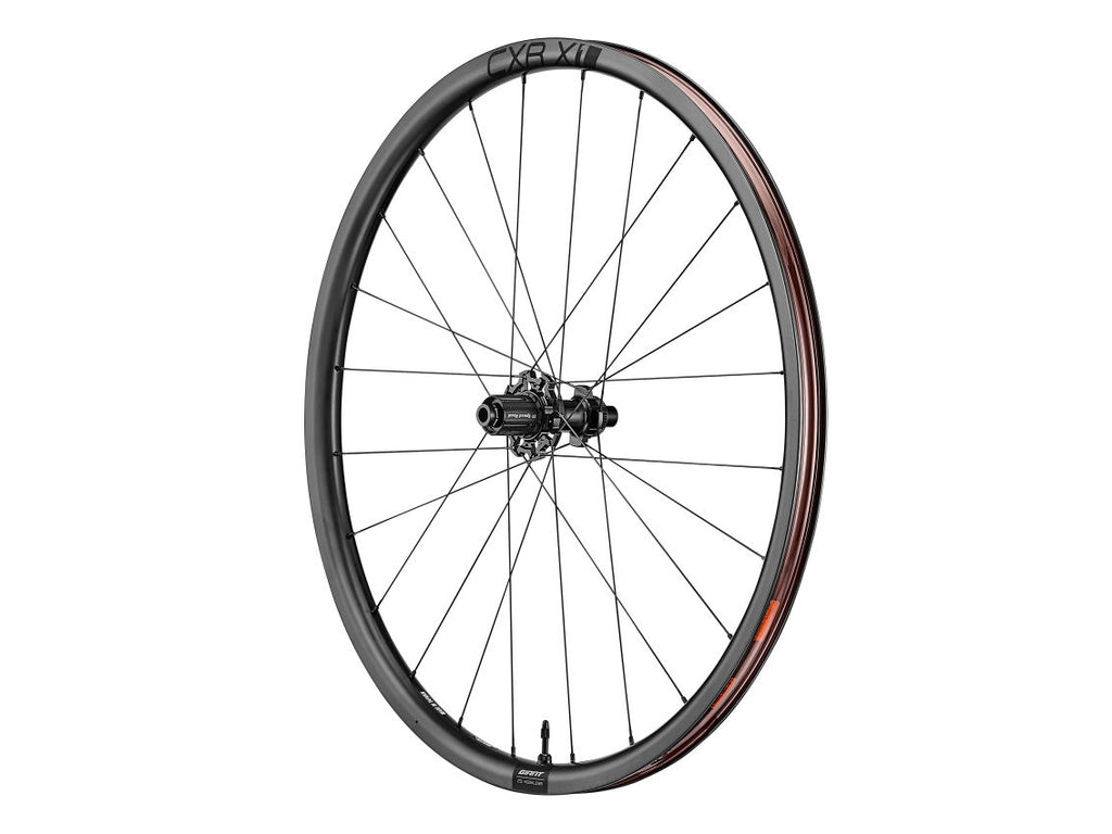 Rear wheel Giant CXR X1 622x25 HG black