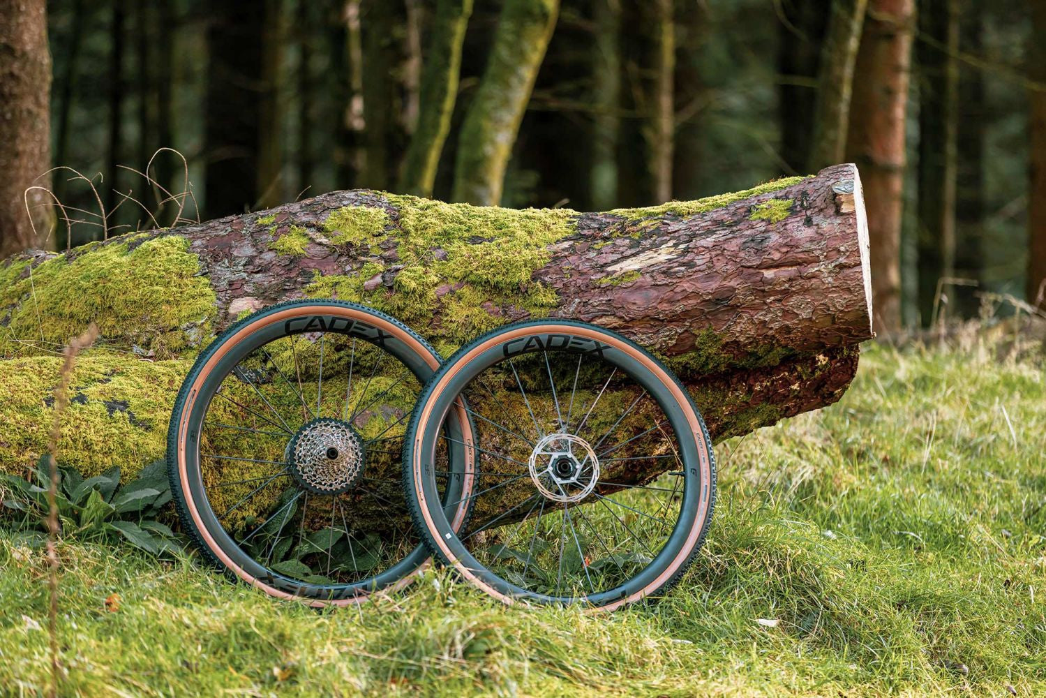 Rear wheel Cadex AR 35 Tubeless Disc XDR carbon black