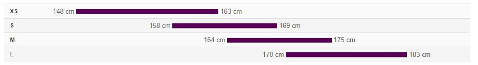 City bicycle Liv Alight 1 DD Disc 28" Citta