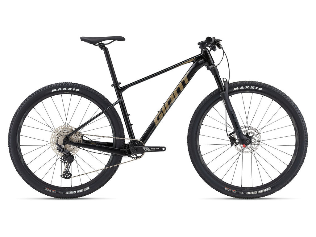 Mountain bike Giant XTC SLR 2 29" Panther (2024)