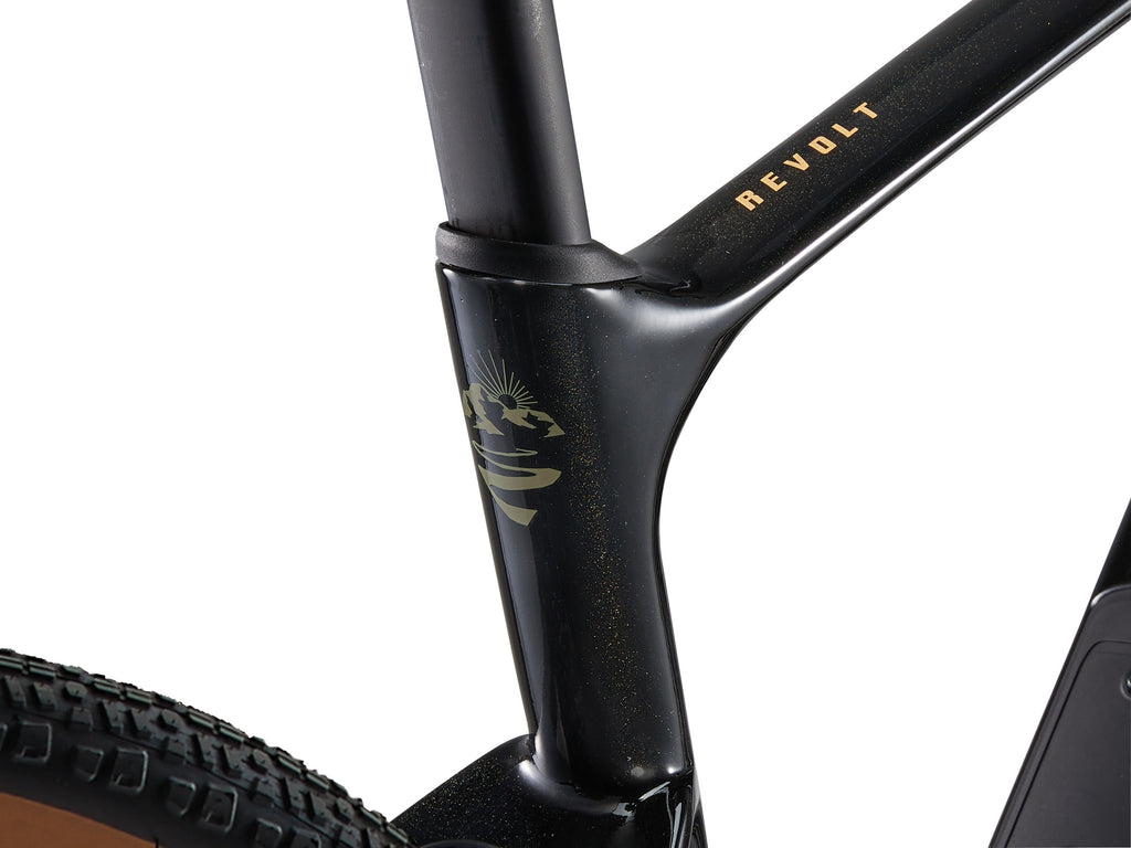 Gravel bike Giant Revolt Advanced 3 28" Panther (2025)