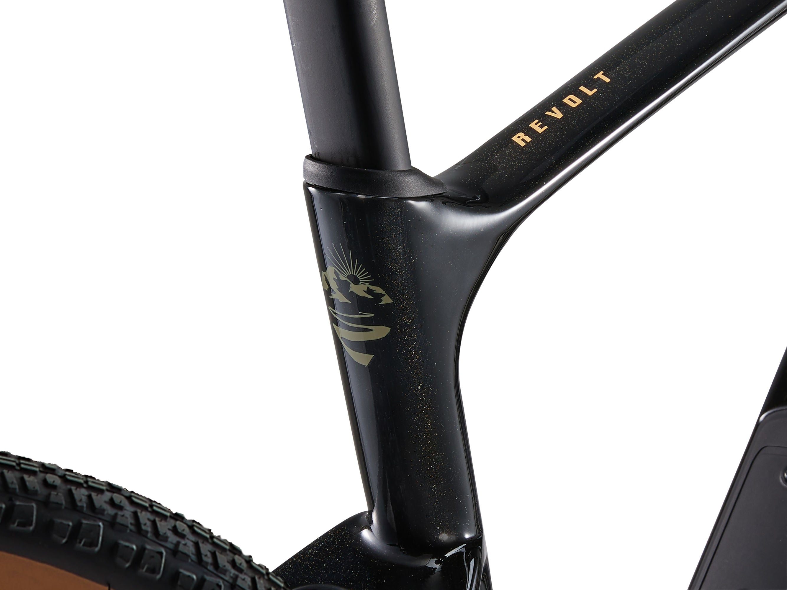 Gravel bike Giant Revolt Advanced 3 28" Panther (2025)