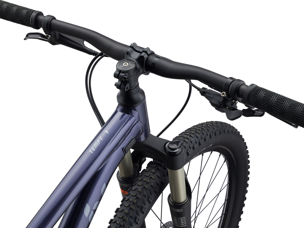 Mountain bike Liv Tempt 1 29" Milky Way