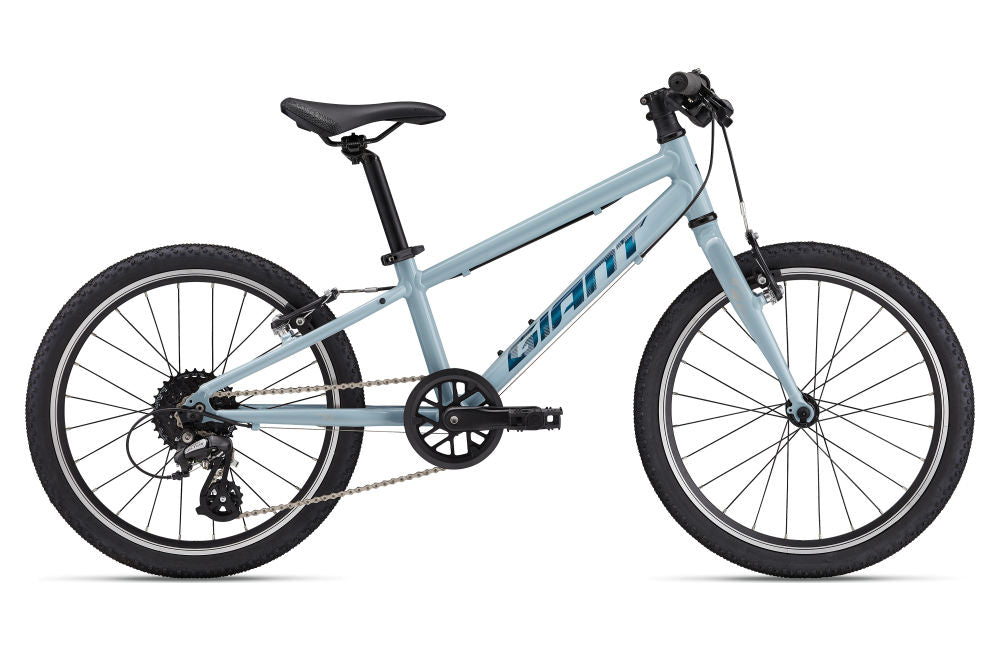 Children's bicycle Giant ARX 20" Soap Suds (2025)