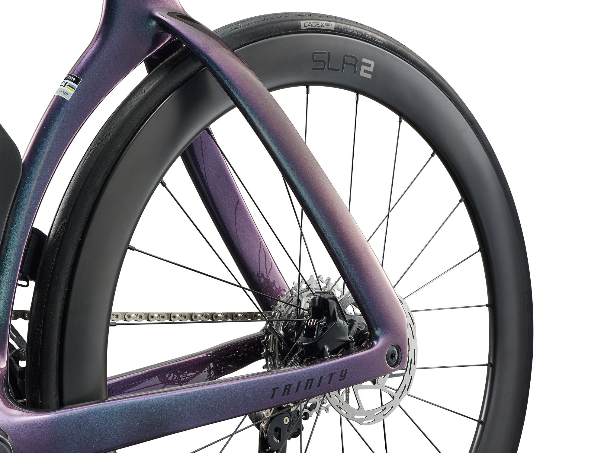 Road bike Trinity Advanced SL 2 28" Carbon/BlueDragonfly (2025)