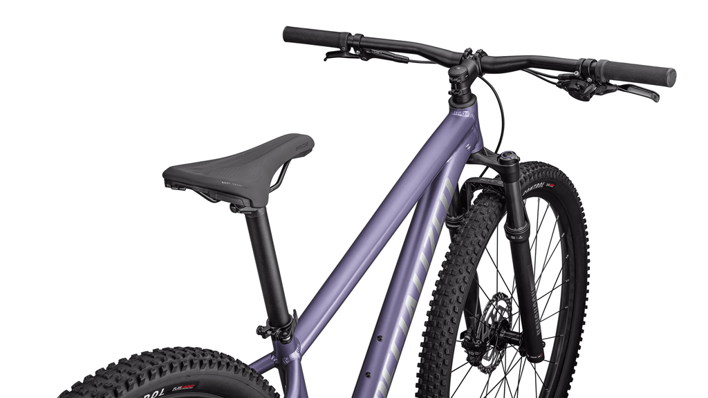 Mountain bicycle Specialized Rockhopper Comp 29 Satin Mauve Metallic/Fjord Metallic (2026)