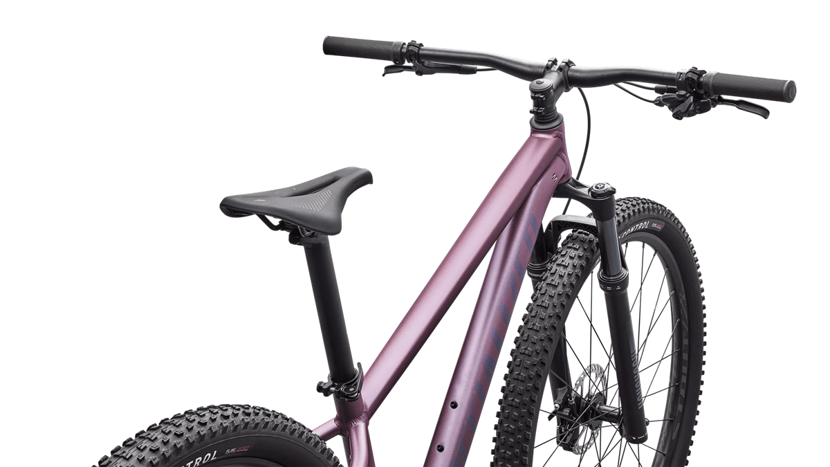 Mountain bicycle Specialized Rockhopper Expert 29 Satin Quartz Metallic/Mauve Metallic (2026)