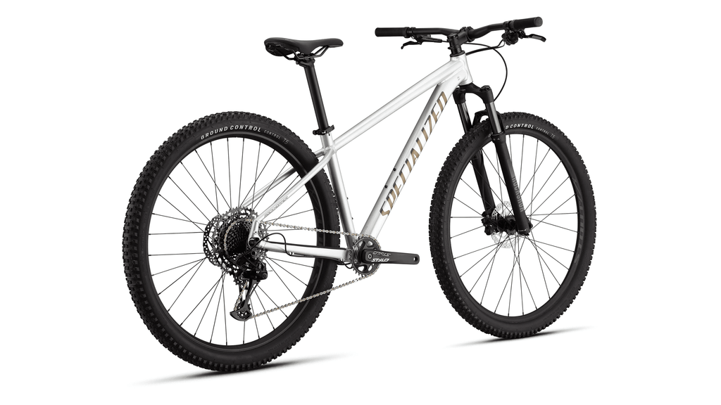 Mountain bike Specialized Rockhopper Expert Gloss Silver Dust/Satin Burnt Gold Metallic