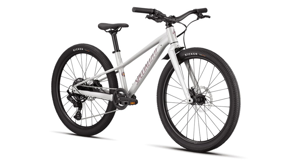 Kids' bike Specialized Riprock 24 Gloss Dolomite Metallic/Quartz Metallic (2026)