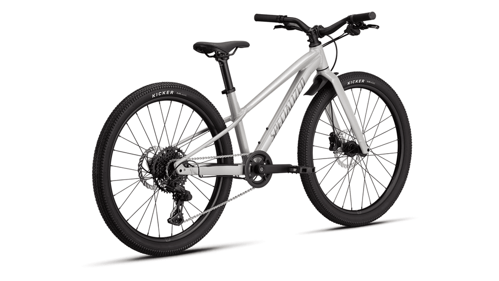 Kids' bike Specialized Riprock 24 Gloss Dolomite Metallic/Quartz Metallic (2026)