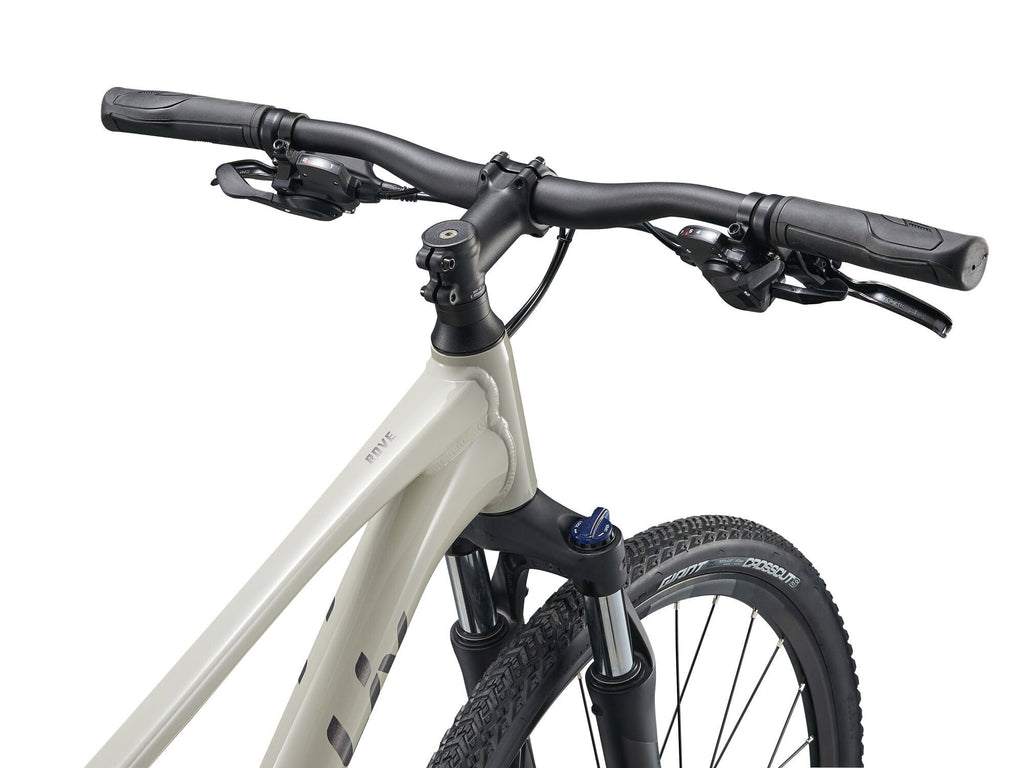 Hybrid bike Liv Rove 3 Pulp Gray