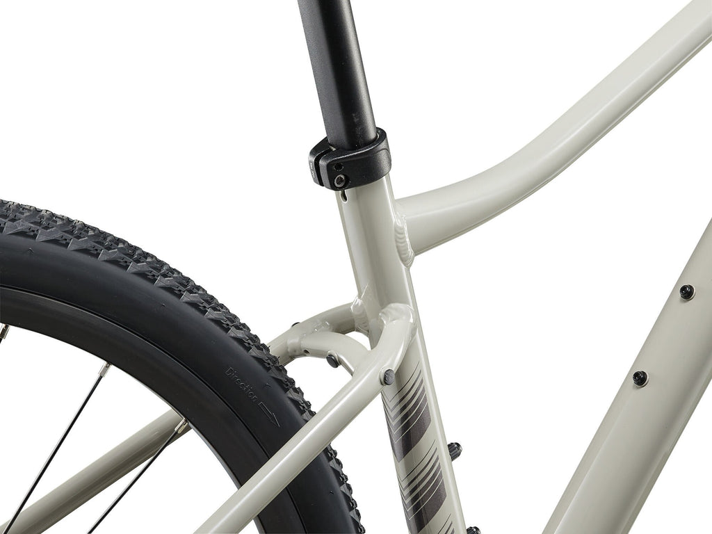 Hybrid bike Liv Rove 3 Pulp Gray